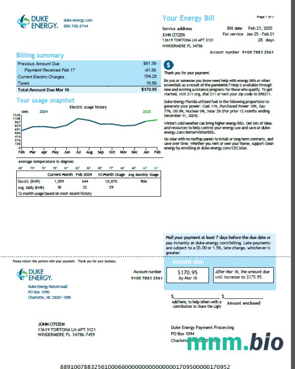 Szablon rachunku za media energetyczne USA Duke w formatach Word i PDF, Wersja 5